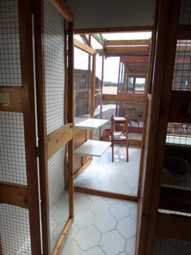 Posh Paws Cattery