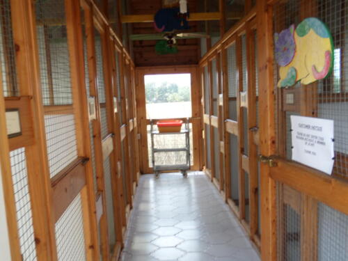 Posh Paws Cattery